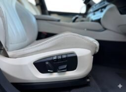 
										BMW X6 MSPORT XDRIVE 40D full									